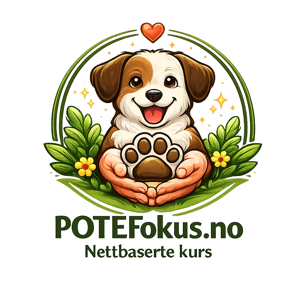 PoteFokus